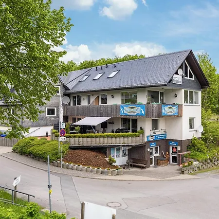 Pistenblick Willingen (Upland)