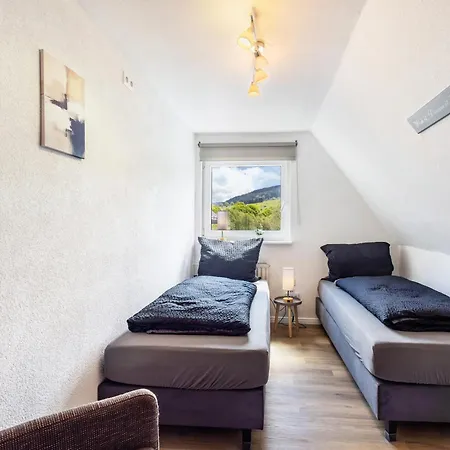 Pistenblick Willingen (Upland)